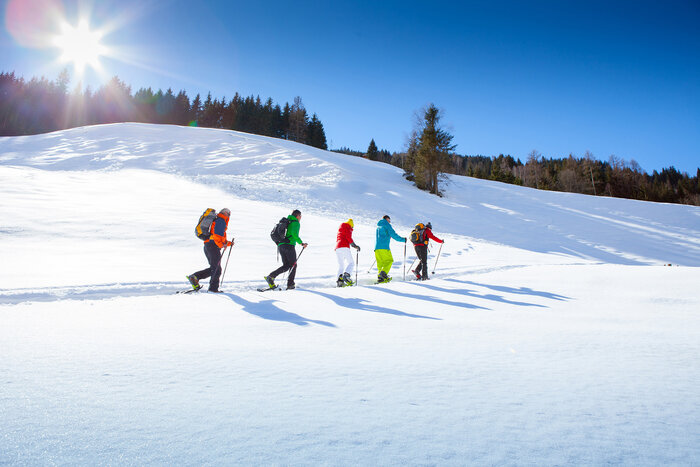 Five snowshoe hikers walk in a snowy meadow and trees can be seen in the background | © Tourismusverband Großarltal