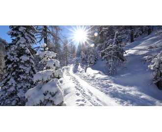 Snow-covered forest trail in sunshine on winter hike to Karseggalm