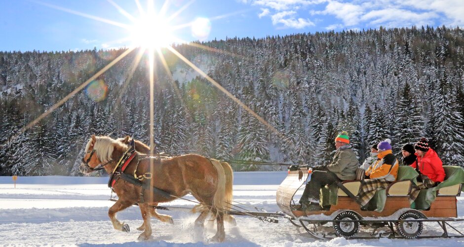 Two horses pull a sleigh with four people through a snowy winter landscape in bright sunshine | © Michael Simonlehner